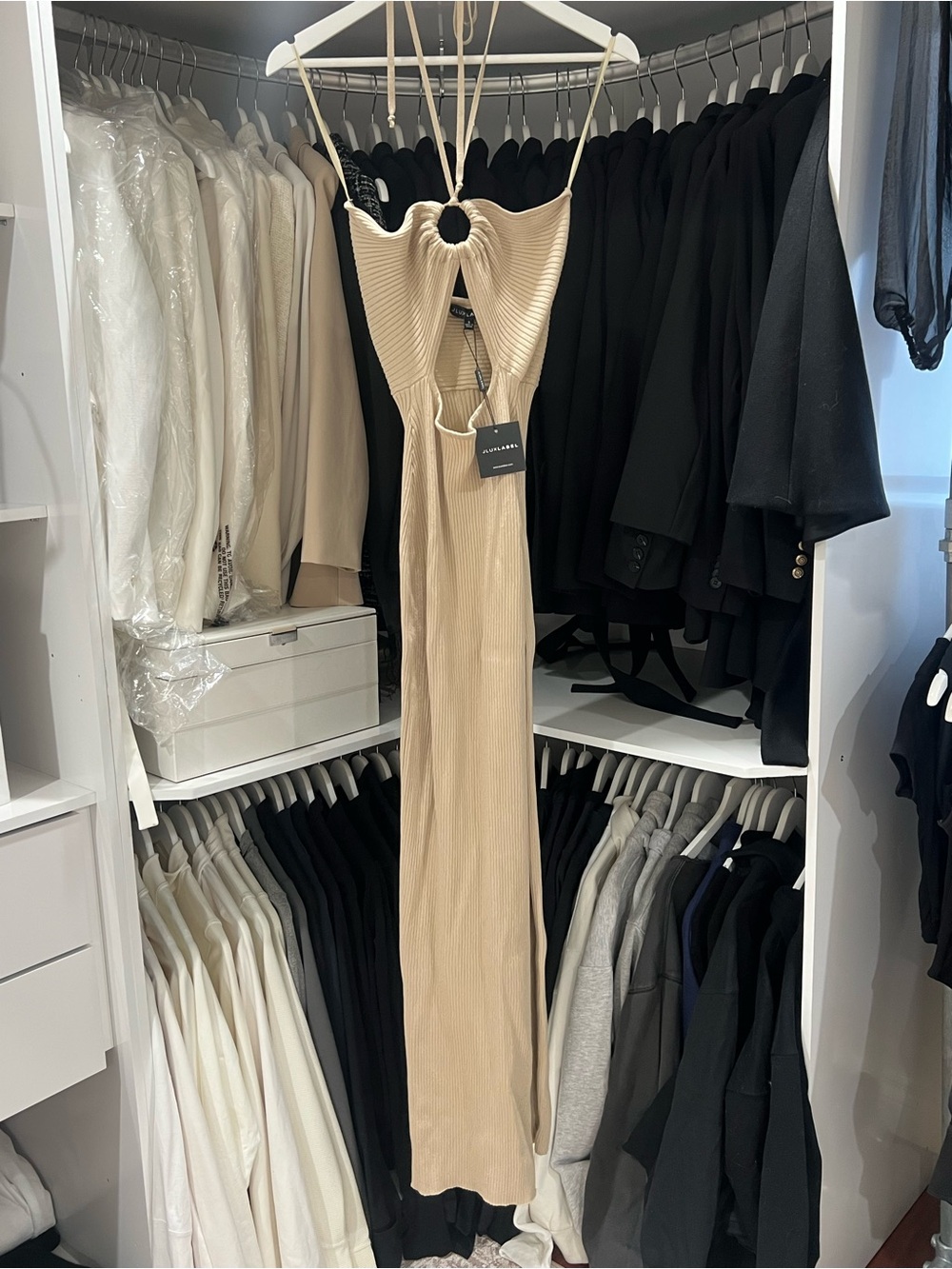 JLUXLABEL Dress - Picture 4 of 6